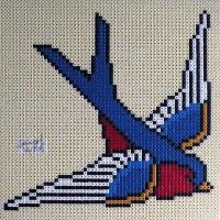 swallow
